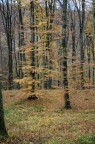 autunno 2 autunno 2