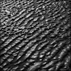 impronte del mare impronte del mare