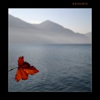 momenti d'autunno 2 momenti d'autunno 2