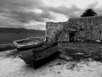Deamons at play Deamons at play