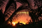 TRAMONTO ZANZIBAR 2006