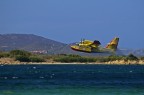 Sardegna...durante un incendio.