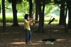 musica nel parco musica nel parco