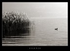 silence silence