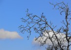 Winter day