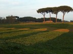parco degli acquedotti ROMA parco degli acquedotti ROMA
