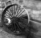 ...ma la vita continua! ...ma la vita continua!