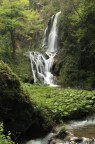 cascata di villa gregoriana (Tivoli). se riuscite a scendere senza turisti e senza caciara da una sensazione strana, unica. come essere tagliati fuori dal tempo...