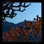 i ricchi ... e il povero i ricchi ... e il povero