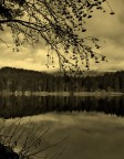 Landscape Landscape