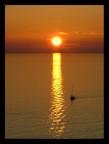 Tramonto toscano Tramonto toscano