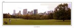 Il Parco Il Parco