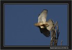 Gioco di squadra#01 Gioco di squadra#01