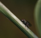 in salita.. in salita..