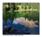 riflessi in acqua - selezionata e pubblicata da IL FOTOGRAFO riflessi in acqua - selezionata e pubblicata da IL FOTOGRAFO