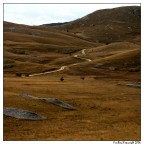 Per chissà dove Per chissà dove