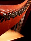 Arpa celtica particolare 1 Arpa celtica particolare 1