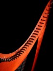 Arpa celtica- particolare 2 Arpa celtica- particolare 2
