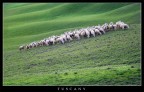 Toscana Toscana
