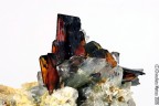 Brookite tigrata