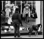 L'irresistibile fascino dell vetrine 2 L'irresistibile fascino dell vetrine 2