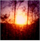 Wash away my tears Wash away my tears