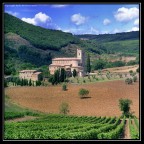 L'Abbazia di Sant'Antimo, Montalcino L'Abbazia di Sant'Antimo, Montalcino