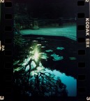 Elite chrome Elite chrome