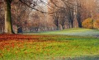 Uno strano inverno Uno strano inverno