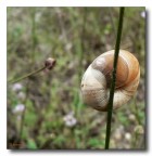 mai aprire agli sconosciuti... mai aprire agli sconosciuti...