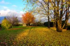 L'autunno e la gioia dei colori L'autunno e la gioia dei colori