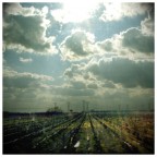 Paesaggio #2 Paesaggio #2