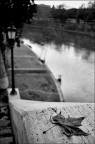 Tevere Tevere