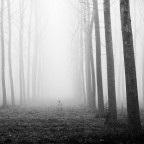 from order to chaos from order to chaos