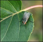 Brrr...Brrr... ma che freddo fa !!! Brrr...Brrr... ma che freddo fa !!!