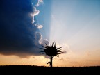 RAGGI DI LUCE RAGGI DI LUCE