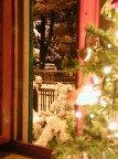 Il Natale dentro e furoi casa Il Natale dentro e furoi casa