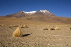 bolivia  deserto del siloli vulcano bolivia  deserto del siloli vulcano