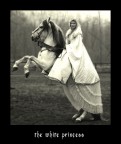 white princess white princess