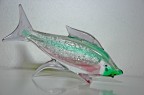 Pesce fuor d'acqua Pesce fuor d'acqua