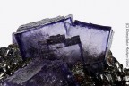 Fluorite Fluorite
