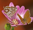 in due all' improvviso.. in due all' improvviso..