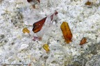 Brookite italiana