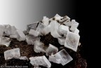Barite