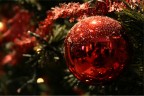Io nel natale Io nel natale