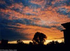 Alba Alba