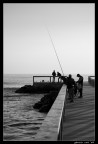 Pesca sul pontile... Pesca sul pontile...