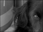 Glance Glance