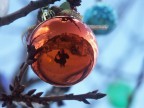 Natale 2005 (sono in ritardo, lo ammetto...), pranzo a Greccio... un freddo bestiale ma troppo affascinanti i riflessi nelle palle natalizie appese sugli alberi all'esterno del ristorante, quindi... AUGURI A TUTTI!