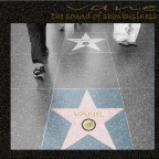 vane (cerco consigli) vane (cerco consigli)